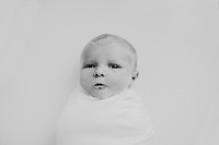 lyla/one - 2021